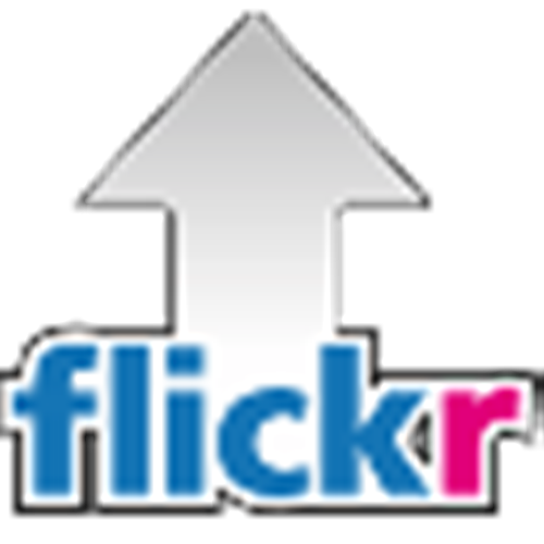 Flickr Facts