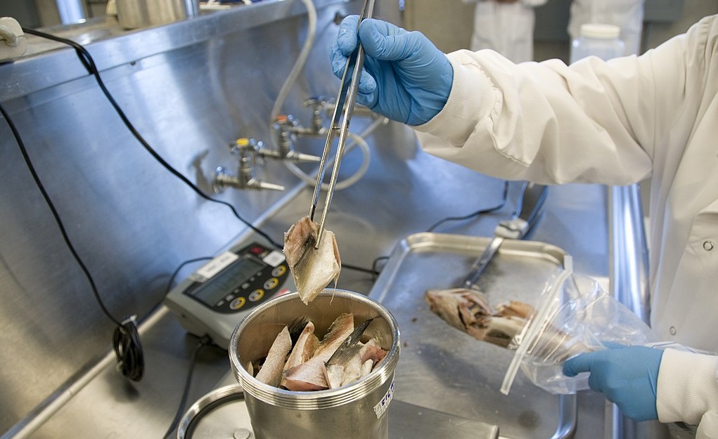 Seafood in FDA Lab